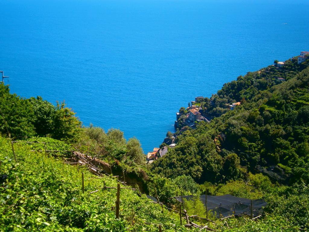 Villa En Rose Ravello Pokoj fotografie